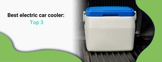 Best electric car cooler Top 3