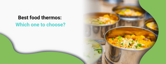 Best food thermos: Which one to choose?