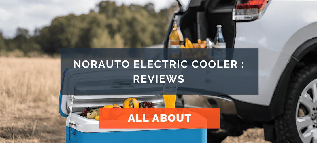 Norauto electric cooler : Reviews
