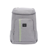 backpack lunch grey