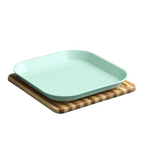 plate reusable pic green
