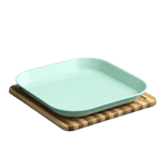 plate reusable pic green