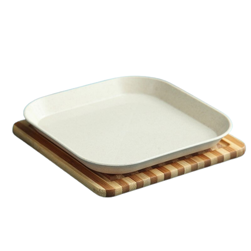 plate reusable pic nic beige