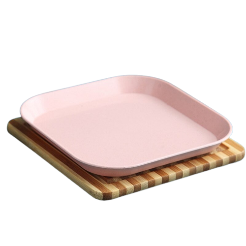 plate reusable pic pink