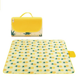 rug cover pic pineapple