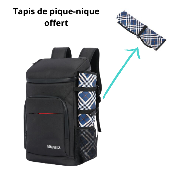 Insulated Picnic Backpack Black