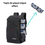 Insulated Picnic Backpack Black