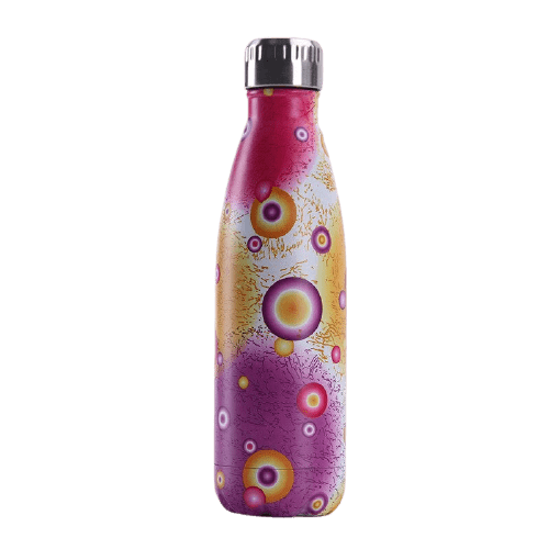stainless steel water bottle artistic 17oz