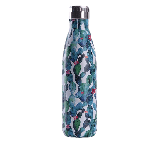 stainless steel water bottle blue cactus 17oz