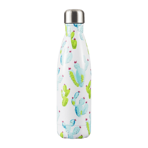 insulated Stainless Steel Water Bottle cactus