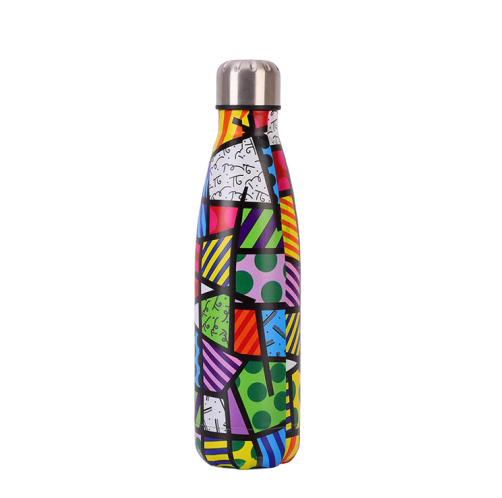 insulated Stainless Steel Water Bottle Picasso multicolored