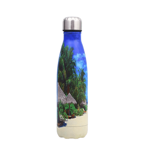 insulated stainless steel water bottle beach landscape tahiti