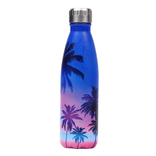 insulated stainless steel water bottle travel