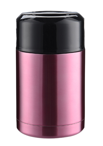 Fushia Thermos Food Box | Healthy Lunch